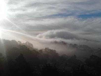 Fog