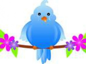 twitter bird