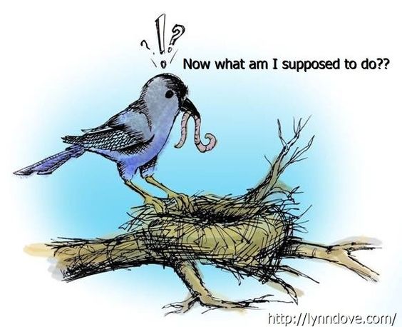 empty-nest