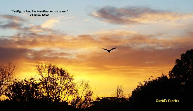 David's Sunrise