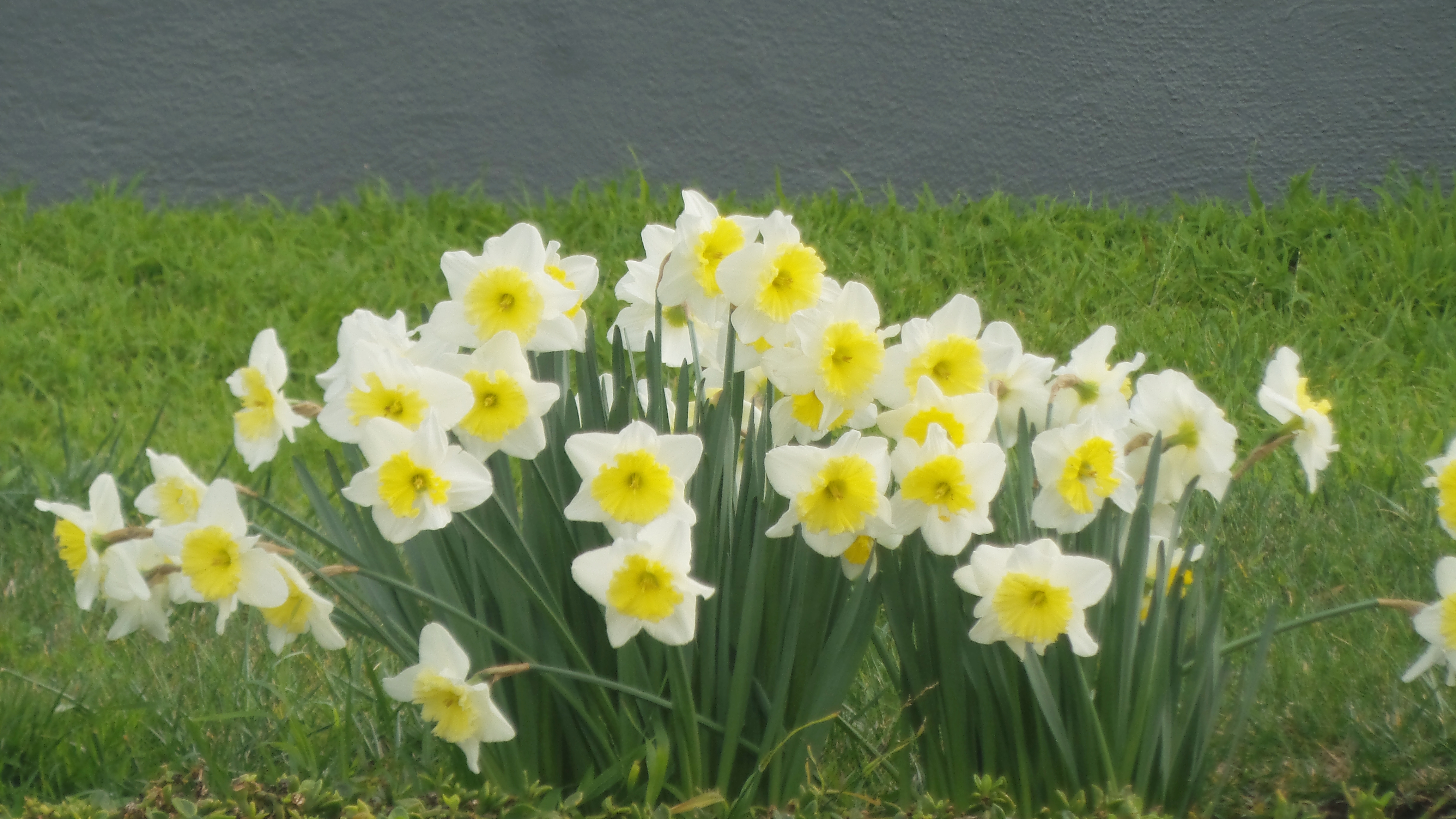 20190301_083526