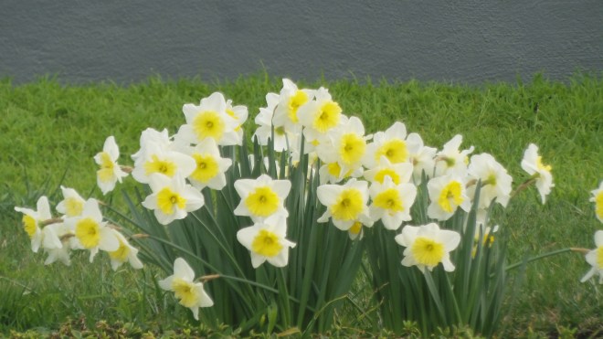 20190301_083526